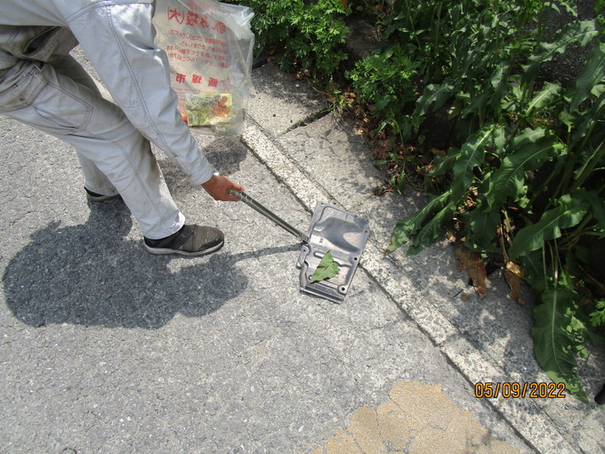 IMG_4746.JPG