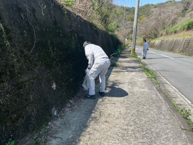 image1.jpeg